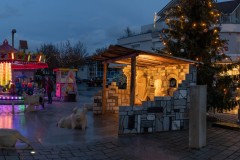 DSC07281-Pano