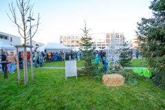 Lauchringer-Adventsmarkt-66