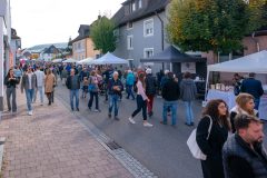 Verkaufsoffener-Sonntag-10.2025-_-157-Dieter-Schaeuble