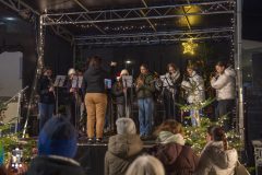 Weihnachtsmarkt-2025-_-166-Dieter-Schaeuble