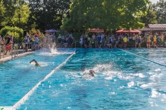 IMG_9231