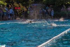 IMG_9237